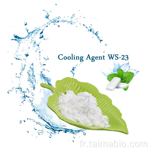 Agent de refroidissement de saveur de nourriture populaire Agent de refroidissement WS23